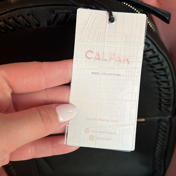 CALPAK backpack - Picture 3 of 7